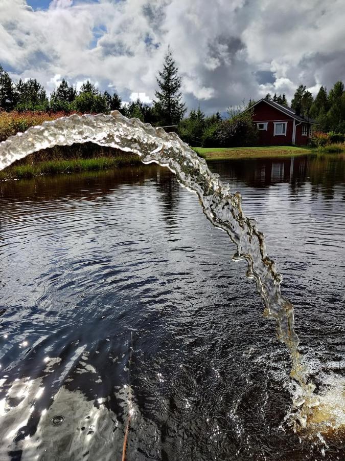 Hannunluhdan Lomamoekit Karijoki المظهر الخارجي الصورة